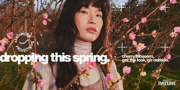 Cherry Blossom